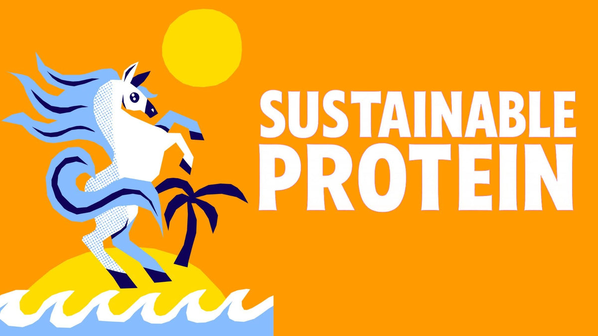 SUSTAINABLE PROTEIN