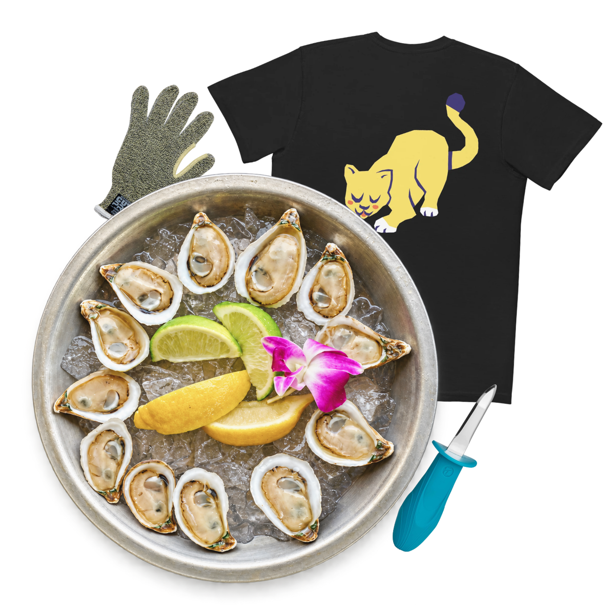 Wet Kitties Shuck Kit — Oysters + Tools + Pocket Tee