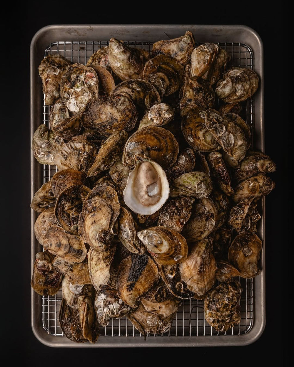 Buck-A-Shuck Oysters