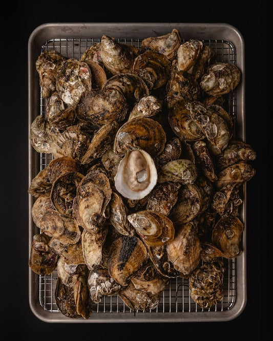 Buck-A-Shuck Oysters