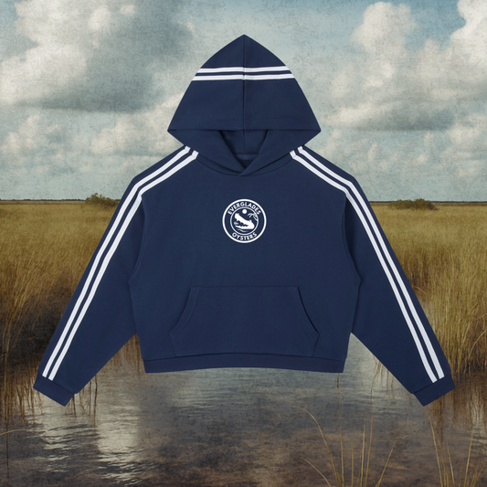 Everglades Stripe Cropped Hoodie