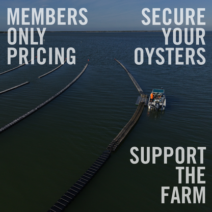 Winter Harvest Presale