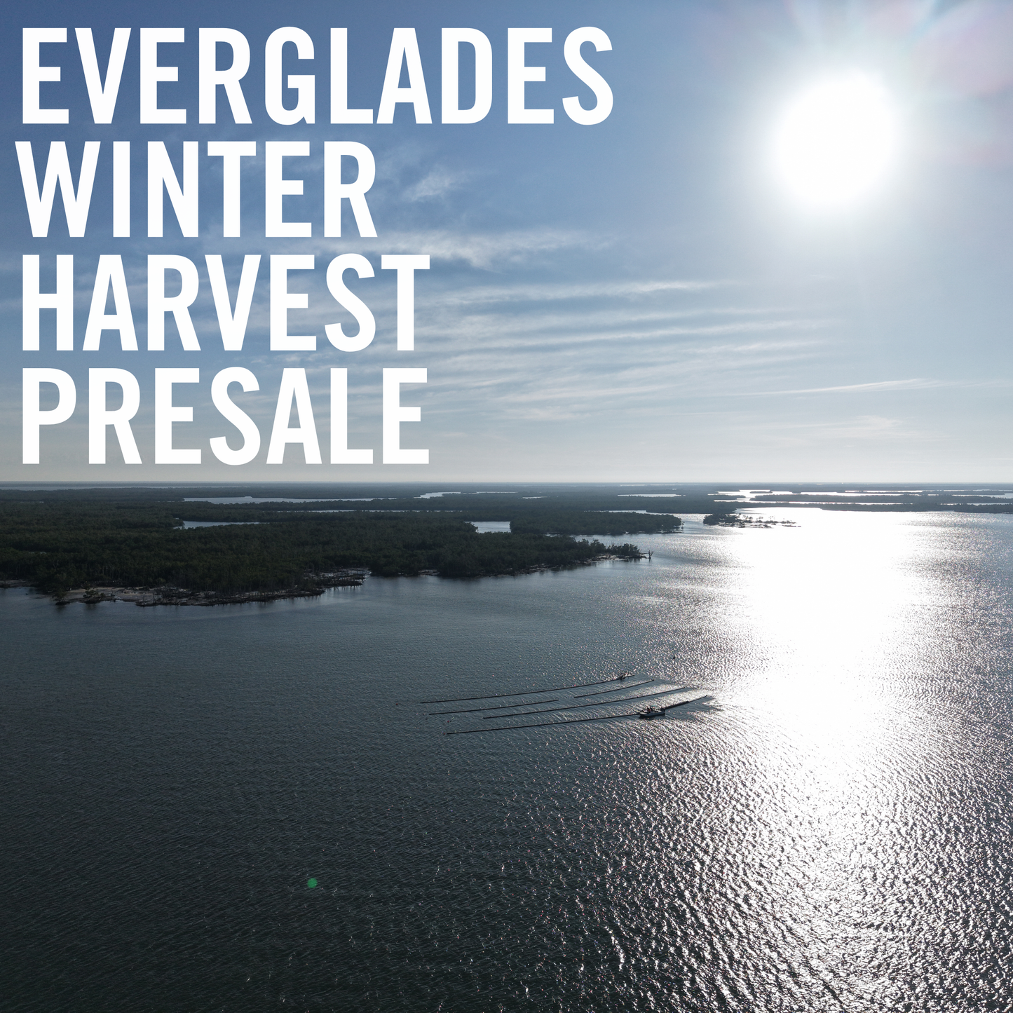 Winter Harvest Presale